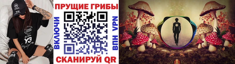где купить наркоту  Маркс  Псилоцибиновые грибы прущие грибы 