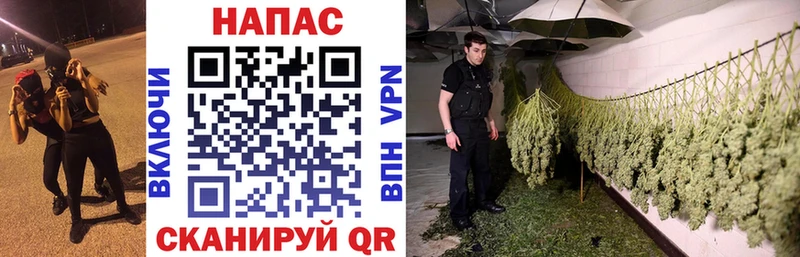 Бошки марихуана ГИДРОПОН  Маркс 